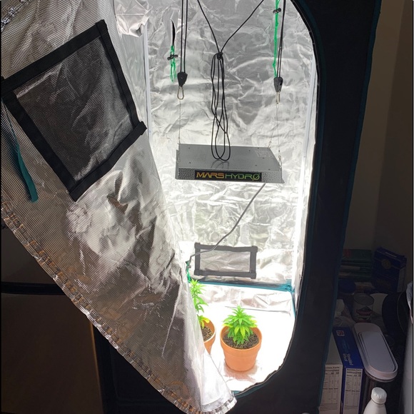 Grow tent - Picture 1 of 2